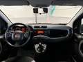 Fiat Panda 1.0 FireFly 70cv S&S Hybrid Grigio - thumbnail 8