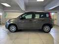 Fiat Panda 1.0 FireFly 70cv S&S Hybrid Grigio - thumbnail 2