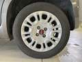 Fiat Panda 1.0 FireFly 70cv S&S Hybrid Grigio - thumbnail 7
