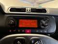 Fiat Panda 1.0 FireFly 70cv S&S Hybrid Grigio - thumbnail 14