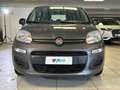 Fiat Panda 1.0 FireFly 70cv S&S Hybrid Grigio - thumbnail 6