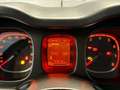 Fiat Panda 1.0 FireFly 70cv S&S Hybrid Grigio - thumbnail 13