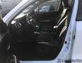 Suzuki Vitara 1.5 HEV 4WD Bianco - thumbnail 15