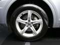 Audi Q5 2.0 TDI 190 CV quattro S tronic Business Sport Argento - thumbnail 7