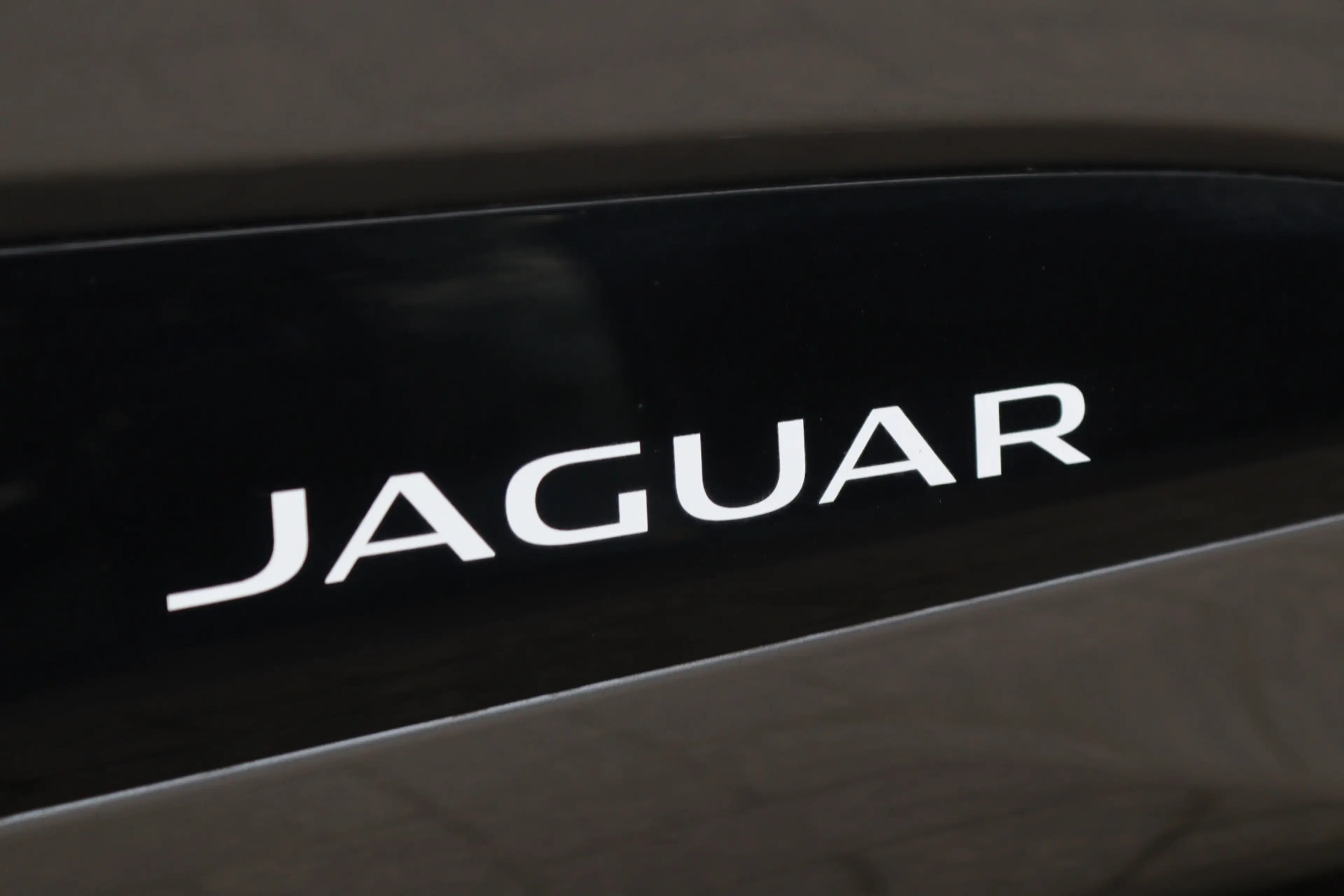 Jaguar I-Pace EV320 S Business Pack 90 kWh LED/Leder/360/Meridia — photo 35
