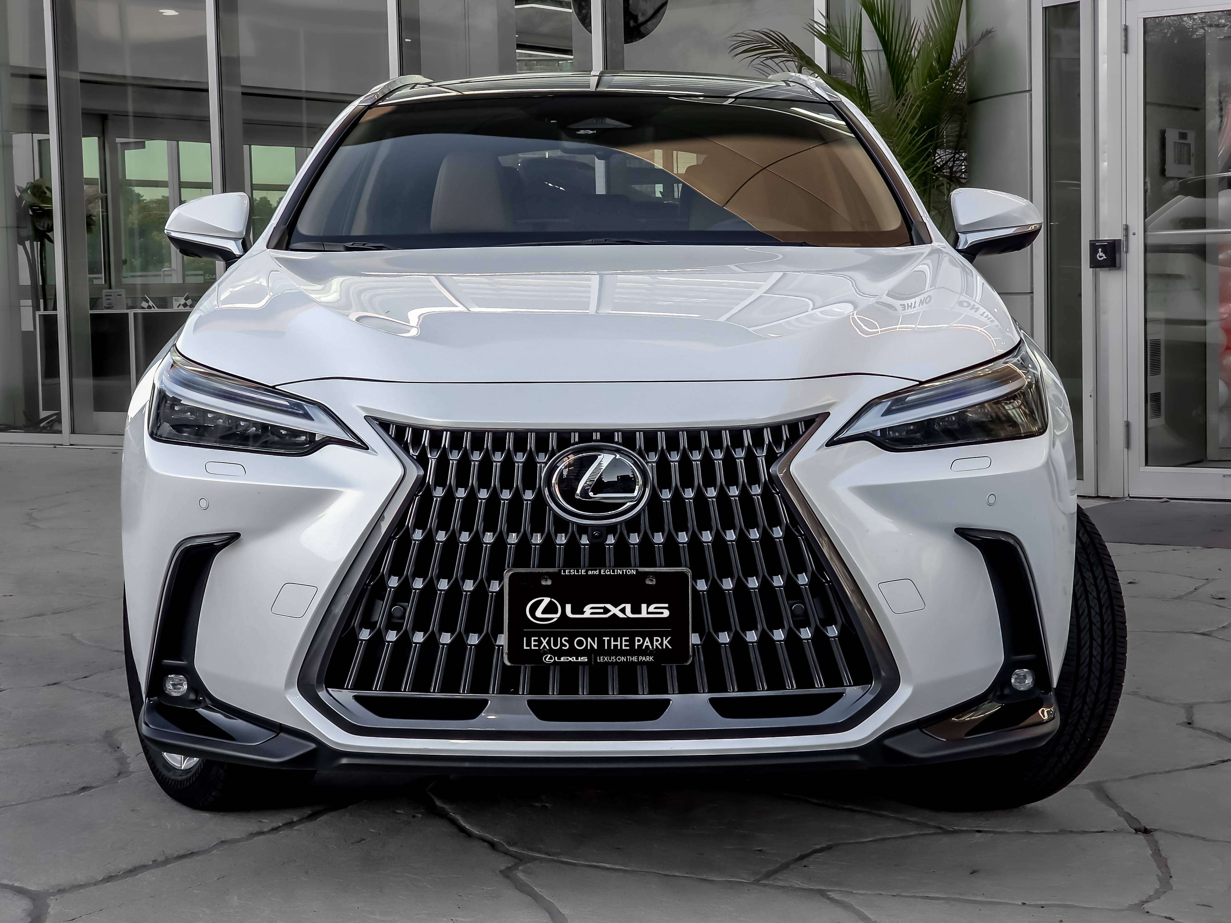 2024 Lexus NX