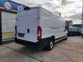 Fiat Ducato 2.3Multijet/Euro6/L4H2/4035mm/Navi/Cam/CC/23884Ex Blanc - thumbnail 3