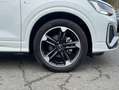 Audi Q2 30 TFSI 110 BVM6 Business line Blanc - thumbnail 22