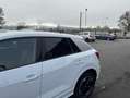 Audi Q2 30 TFSI 110 BVM6 Business line Blanc - thumbnail 25