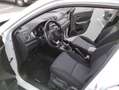 Suzuki Vitara Vitara II 2018 1.4h Cool 4wd allgrip Bianco - thumbnail 9