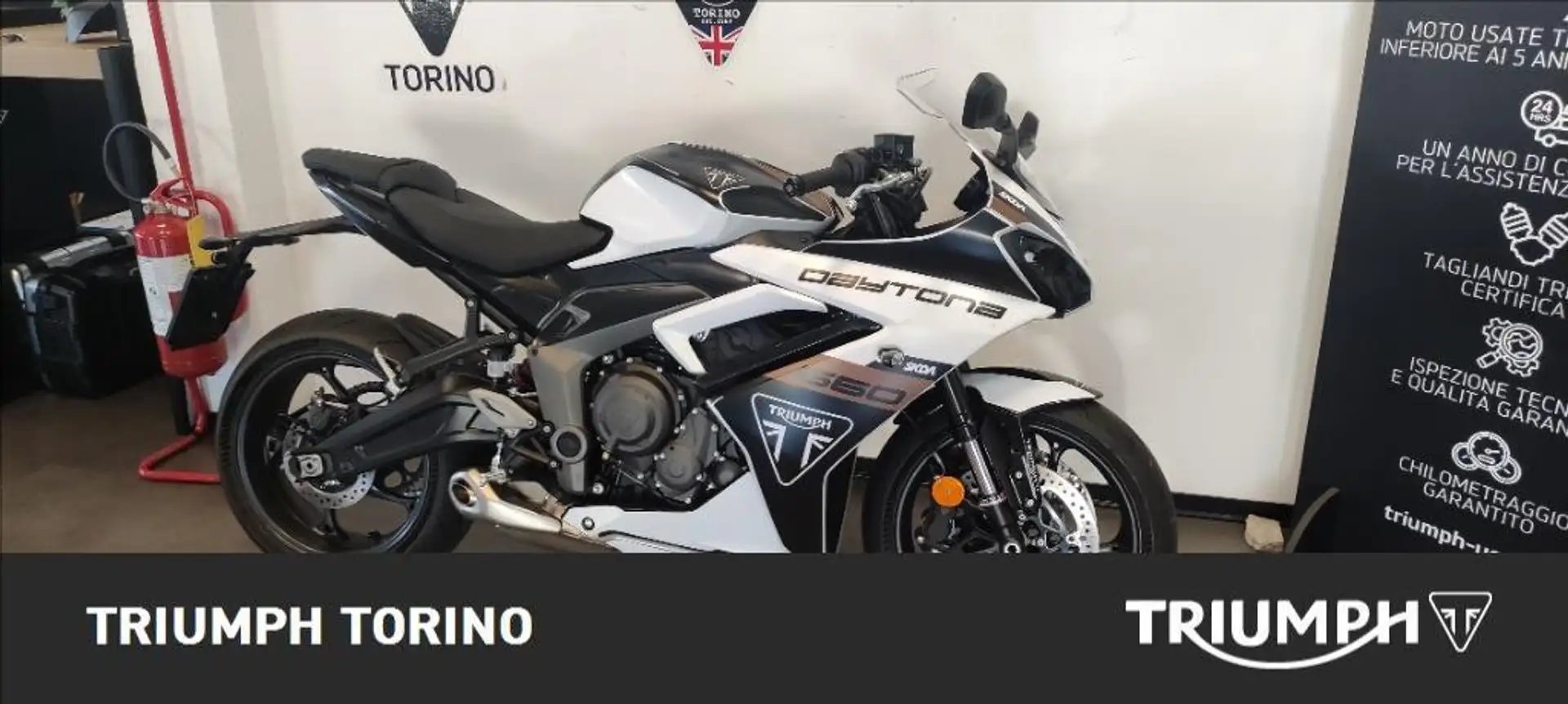 Triumph Daytona 600 Abs Blanc - 1