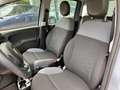 Fiat Panda Panda III 1.0 hybrid Easy Grigio - thumbnail 6