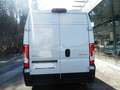 Citroen Jumper KW L2H2 3.5T Heavy 140HDI Netto 31.680 Weiß - thumbnail 7