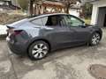 Tesla Model Y Model Y Long Range AWD (Allrad) Grau - thumbnail 5