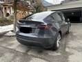 Tesla Model Y Model Y Long Range AWD (Allrad) Grau - thumbnail 2