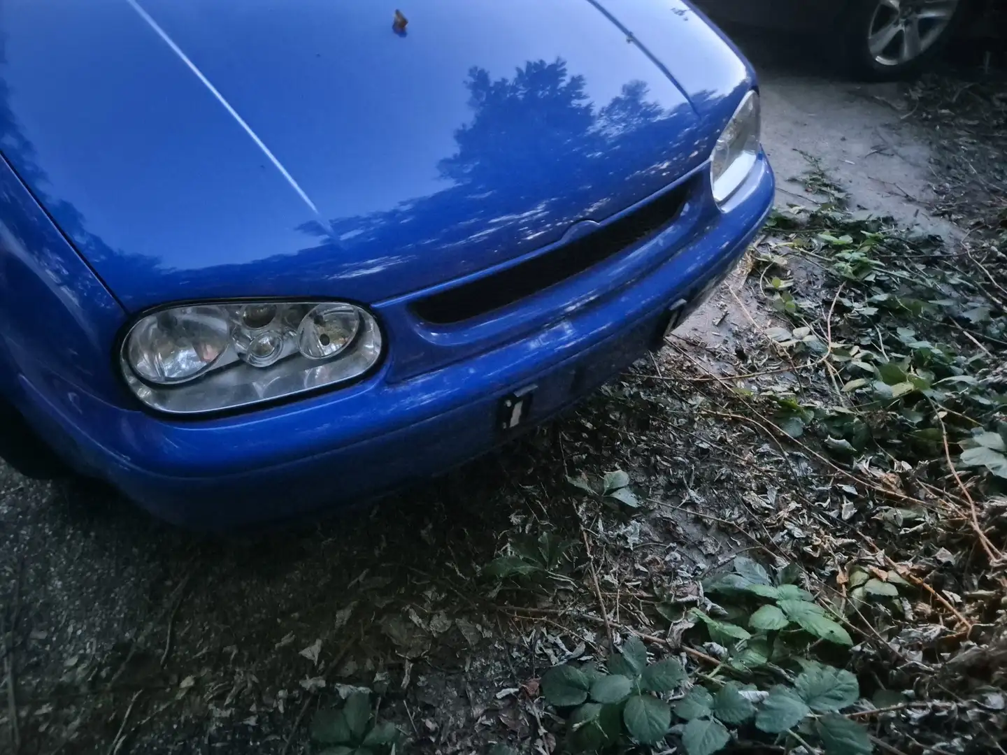 Volkswagen Golf Comfortline TDI - 1