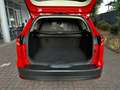 Ford Focus Titanium/Kamera/Navi/PDCx2/Klima.A/Sitz-H/Temp Rouge - thumbnail 7