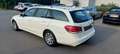 Mercedes-Benz E 220 T CDI DPF BlueEFFICIENCY - thumbnail 3