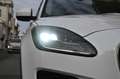 Jaguar E-Pace E-Pace 2.0d i4 fwd 150cv my19 Bianco - thumbnail 5