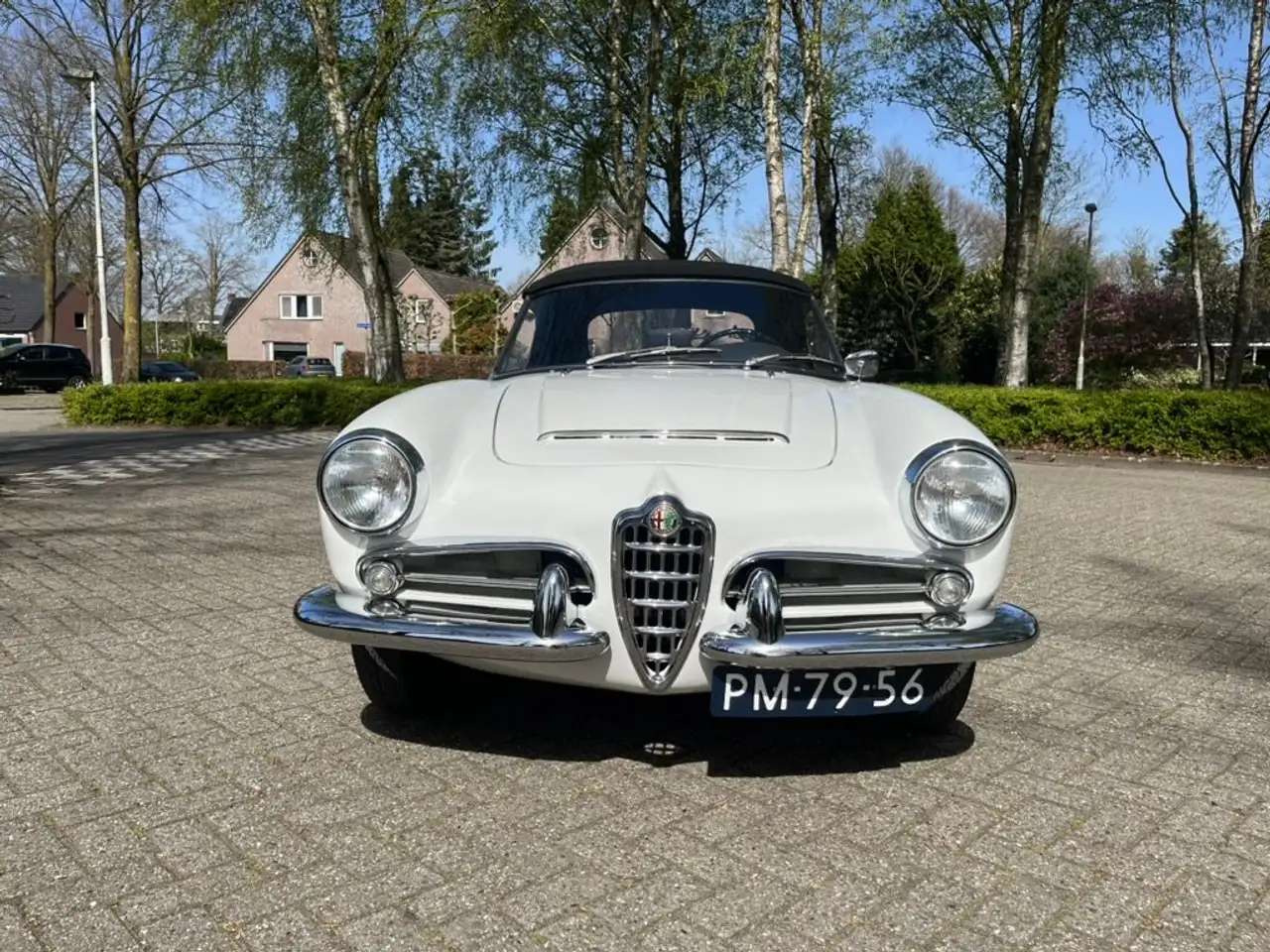 Alfa Romeo Spider undefined, foto 3