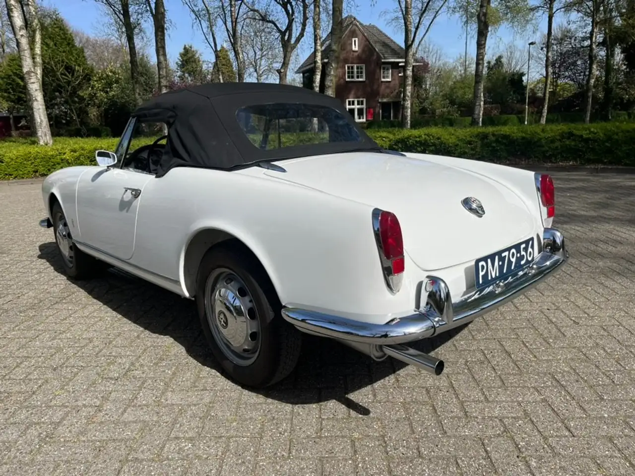 Alfa Romeo Spider undefined, foto 4