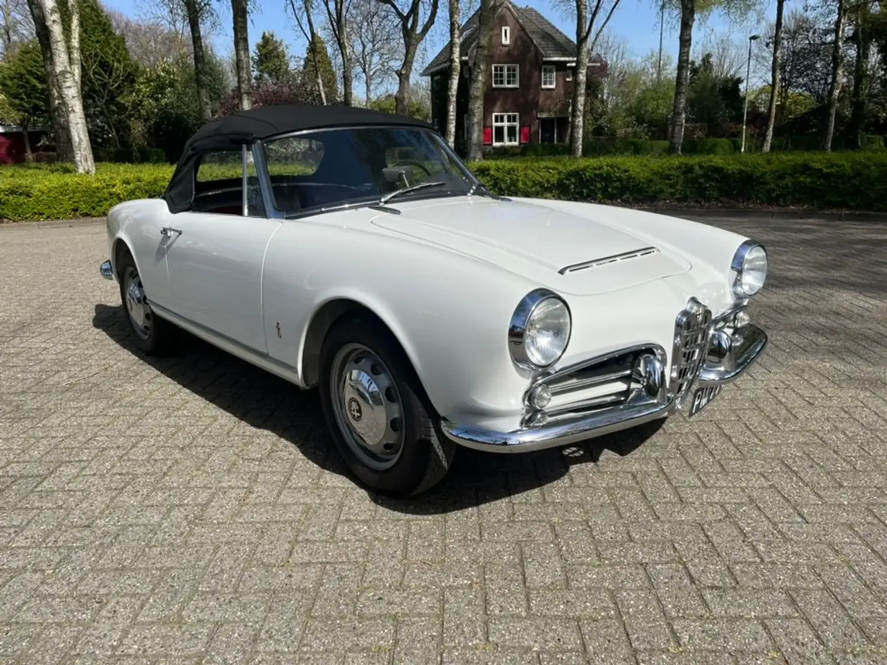 Alfa Romeo Spider undefined, foto 2