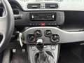 Fiat Panda Spring 1.0 GSE City Cross  Klima Schwarz - thumbnail 11