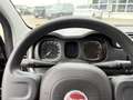 Fiat Panda Spring 1.0 GSE City Cross  Klima Schwarz - thumbnail 10
