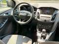 Ford Focus Focus 1.6 TDCi DPF Titanium Brun - thumbnail 11