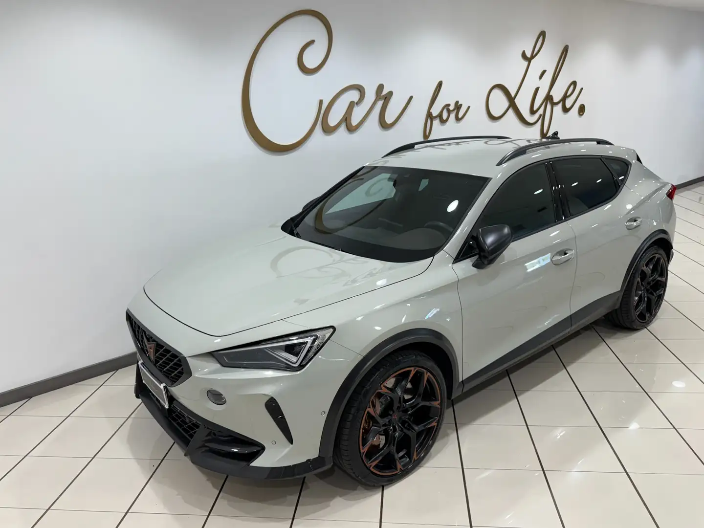 CUPRA Formentor VZ5 2.5 TSI VZ5 Taiga Grey 4drive DSG IVA ESPOSTA Сірий - 1
