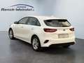 Kia Ceed / cee'd Edition 7 1.4 Klima SHZ PDC Rückfahrkam. Apple Car Bianco - thumbnail 3