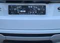 Land Rover Range Rover Evoque Coupé 2.2TD4 4WD Dynamic / Xenon / FULL OPTIONS Blanc - thumbnail 7