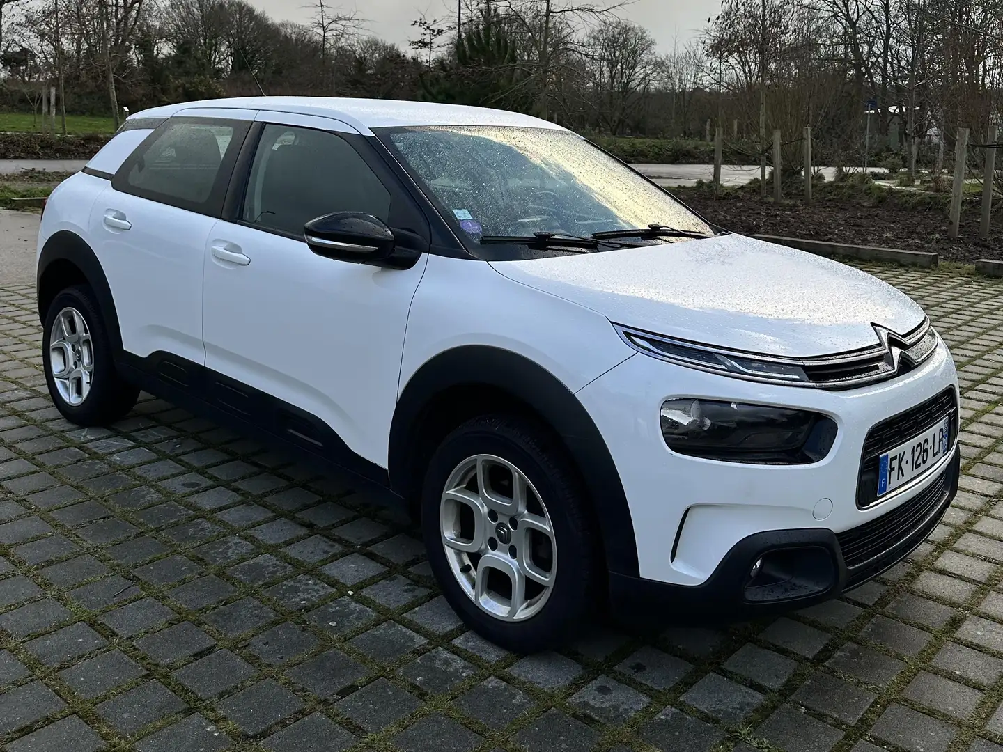 Citroen C4 Cactus C4 Cactus PureTech 110 S - 1