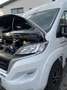 Fiat Ducato Ducato Weiß - thumbnail 29