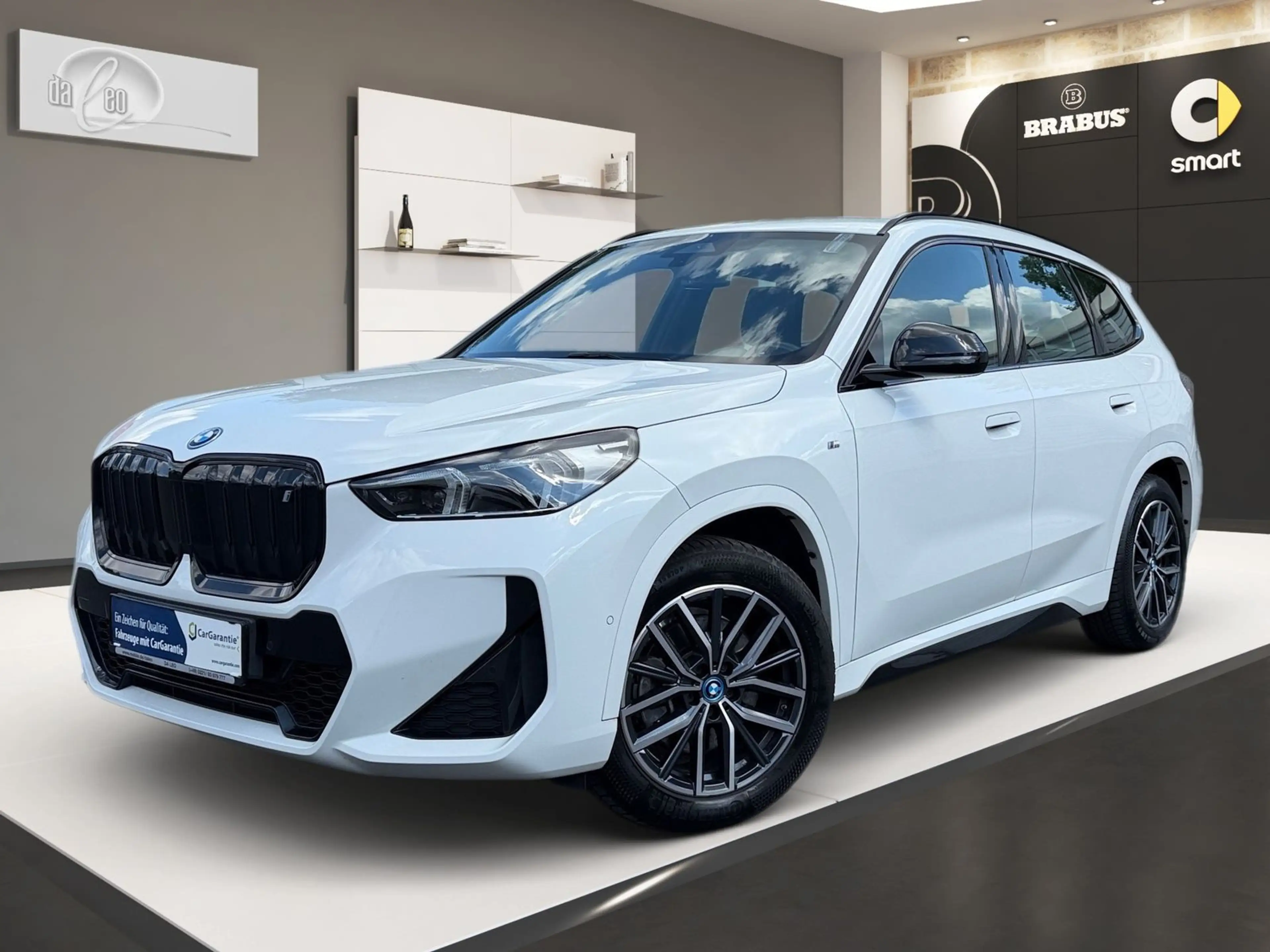 BMW iX1 30 xDrive M Sport Premium-Paket Kamera PDC