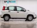 Fiat Panda 1.0 Gse Hybrid Bianco - thumbnail 4