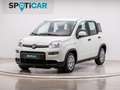 Fiat Panda 1.0 Gse Hybrid Blanc - thumbnail 1