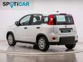 Fiat Panda 1.0 Gse Hybrid Bianco - thumbnail 8