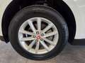 Jaguar F-Pace 2.0 D 180 CV AWD aut. Portfolio Bianco - thumbnail 20