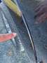 RAM 1500 Crew Cab Long Bed / Laramie Schwarz - thumbnail 9