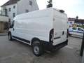 Toyota Proace Max L3H2 2,2 ID ProWork *VERFÜGBAR* Weiß - thumbnail 3