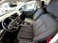 Volkswagen T-Roc 2.0TDI Life 85kW Grijs - thumbnail 12