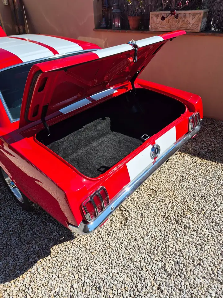Ford Mustang V8 289 4,7, foto 2
