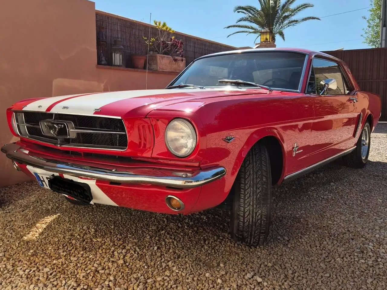 Ford Mustang V8 289 4,7, foto 8
