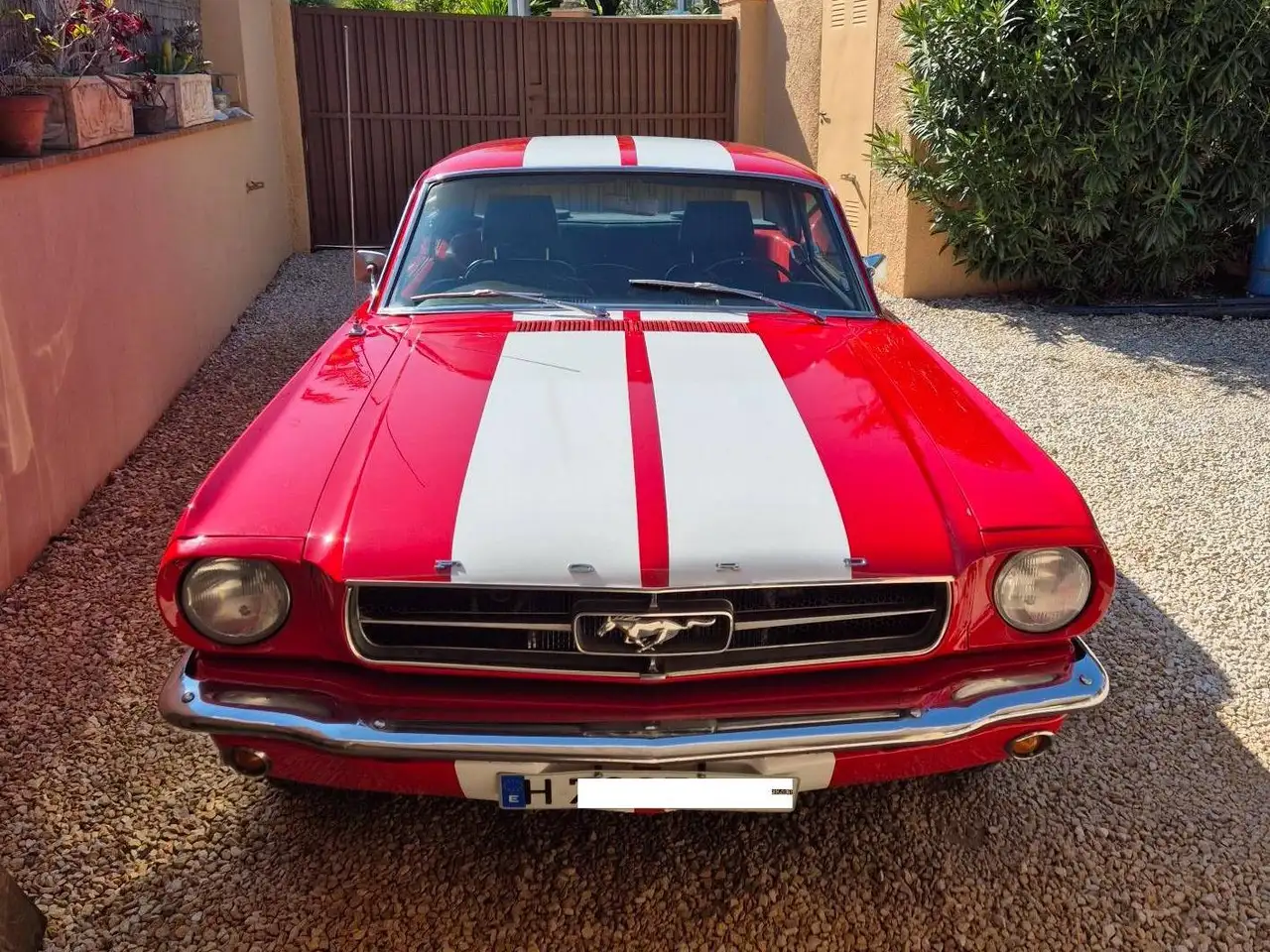 Ford Mustang V8 289 4,7, foto 4