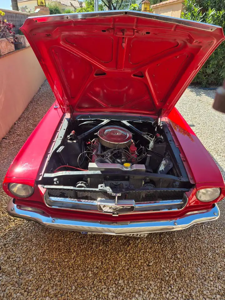 Ford Mustang V8 289 4,7, foto 3