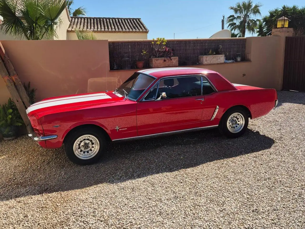 Ford Mustang V8 289 4,7, foto 6