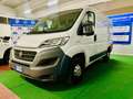 Fiat Ducato Fiat Ducato / euro6/kmcerti/IVA INCLUSA Bianco - thumbnail 4