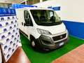 Fiat Ducato Fiat Ducato / euro6/kmcerti/IVA INCLUSA Bianco - thumbnail 5