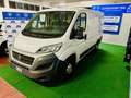 Fiat Ducato Fiat Ducato / euro6/kmcerti/IVA INCLUSA Bianco - thumbnail 1
